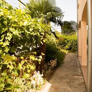 Nonno Apartment Novigrad Istria